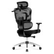 Ergonominė kėdė Expert 4.9 Black