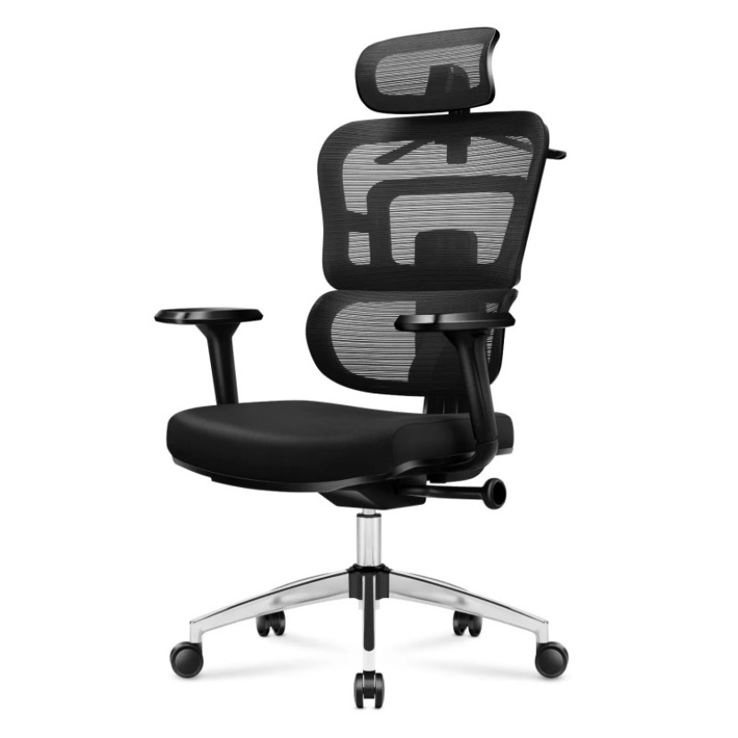 Ergonominė kėdė Expert 4.9 Black