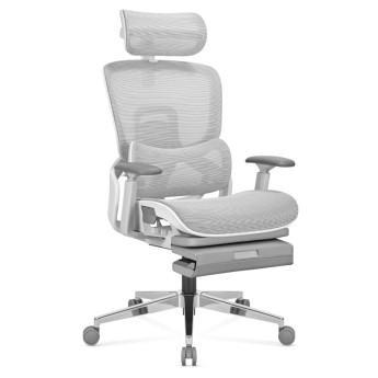 Ergonominė kėdė Expert 9.3 Grey