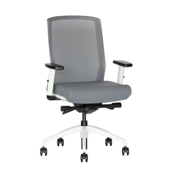 Ergonominė kėdė Scandi