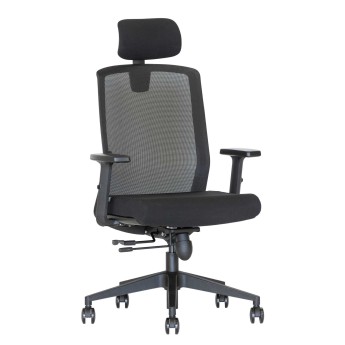 Ergonominė kėdė Flexus HRU