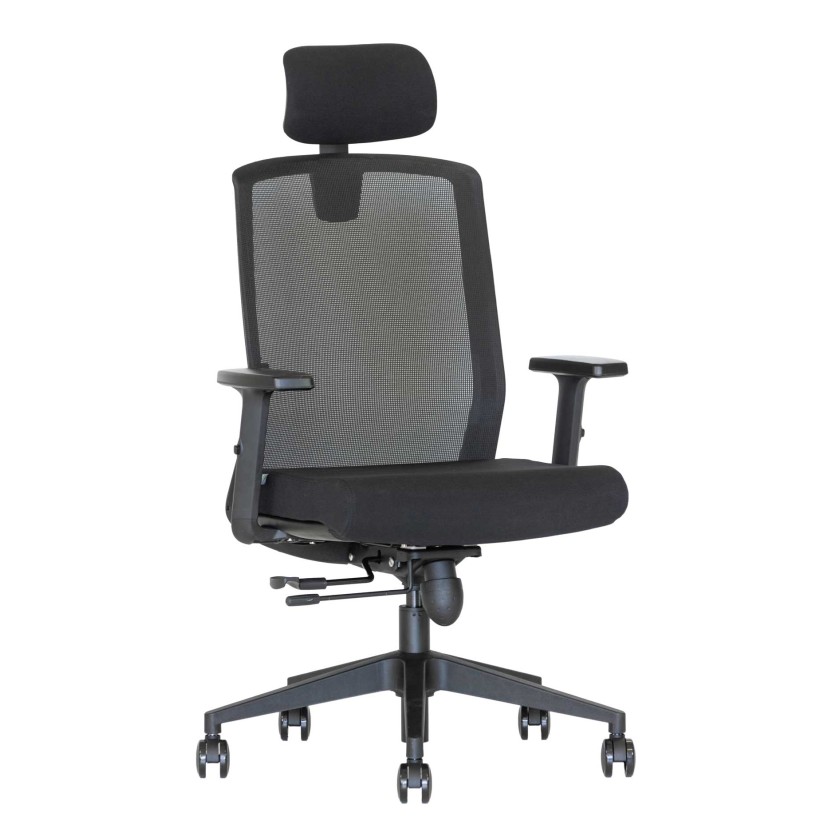 Ergonominė kėdė Flexus HRU