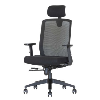 Ergonominė kėdė Flexus HRU Ergonominė kėdė Flexus HRU