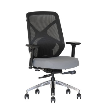 Ergonominė kėdė Hilton