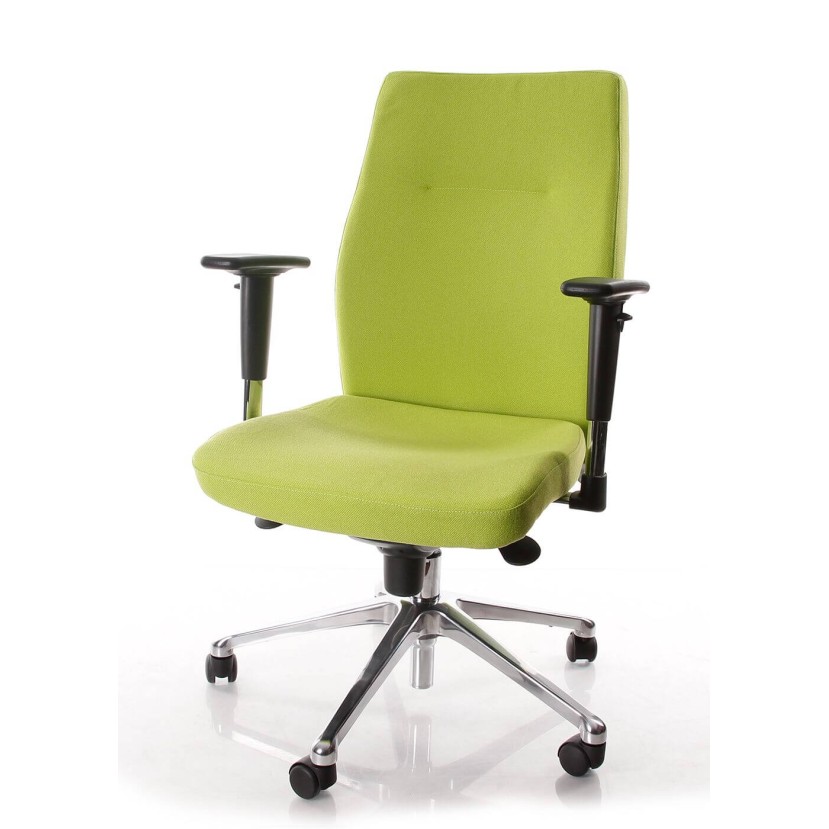 Ergonominė kėdė Orlando R16H steel chrome Ergonominė kėdė Orlando R16H steel chrome
