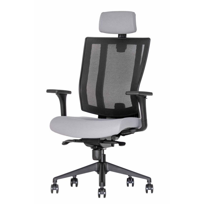 Ergonominė kėdė Promax HRU Ergonominė kėdė Promax HRU