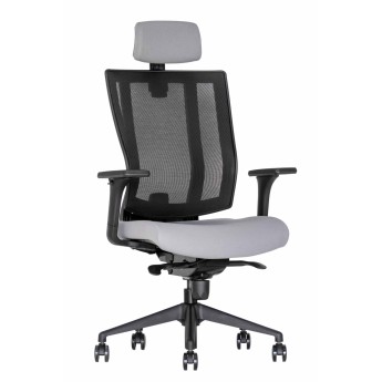 Ergonominė kėdė Promax HRU