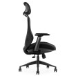 Ergonominė kėdė Roxen HRU