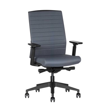 Ergonominė kėdė Skanor
