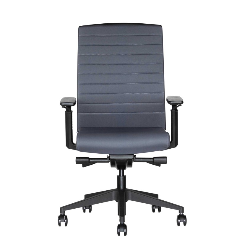Ergonominė kėdė Skanor
