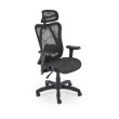 Ergonominė biuro kėdė XERON Black Ergonominė biuro kėdė XERON Black
